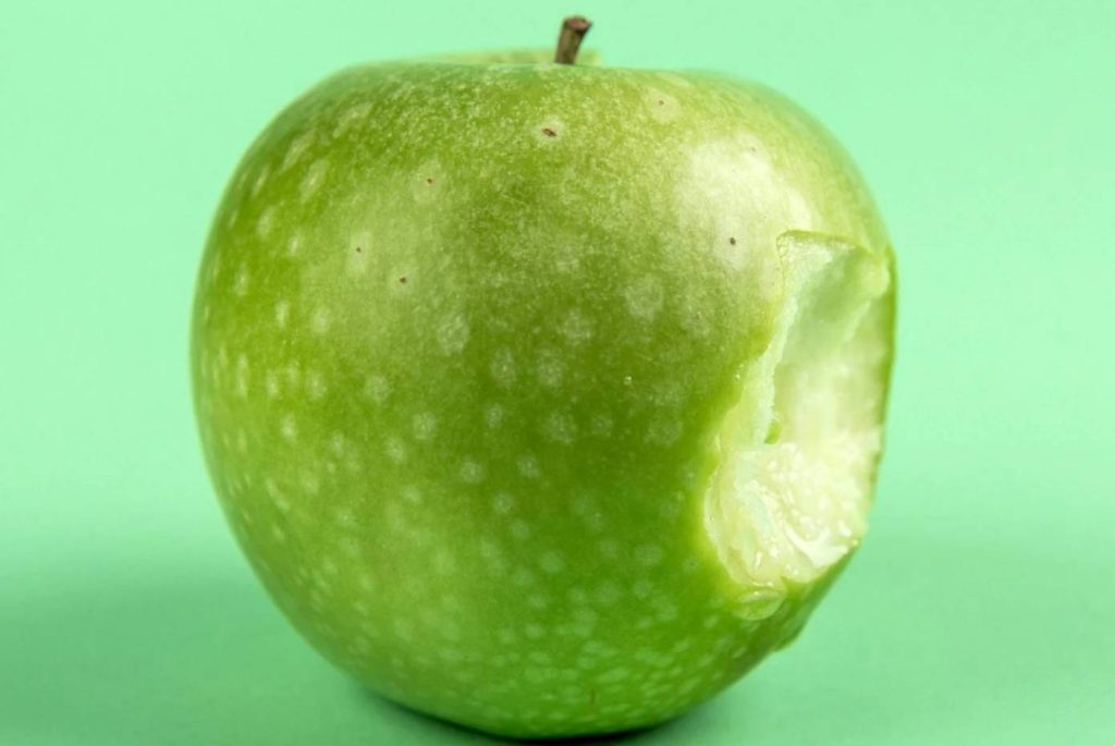 Can dogs eat apple?